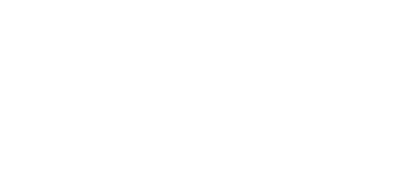 OriSat Full Logo